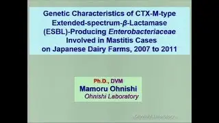 Genetic Characteristics of CTX-M-type ESBL-Producing Enterobacteriaceae...