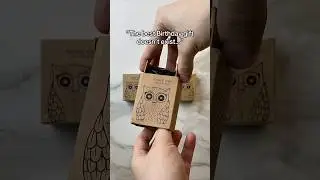The best Birthday gift for owl lovers!🥰🦉#owl #owlhouse #owlcity #owls #owlsoftiktok #owllove #fyp