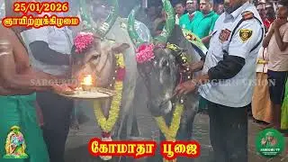 25 January 2026 ஞாயிற்றுக்கிழமை கோமாதா பூஜை 