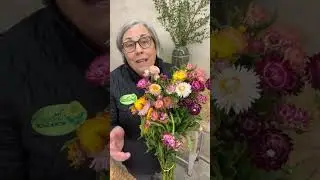 I succession plant strawflowers
