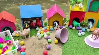 COLORFUL RAINBOW CHICKS ADVENTURE || HAPPY RAINBOW CHICKS PLAY TIME
