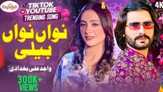 Nawan Nawan Beli  نواں نواں بیلی Wajid Ali Baghdadi Officia Audio Song New Latest Saraiki Song 2024