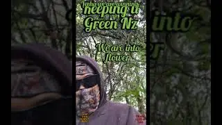 NZweed grow, RIPPED STIPED AND SPLIT