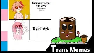 The World Has Gained Another E Girl Today - 🏳️&zwj;⚧️ Trans Memes 🏳️&zwj;⚧️  [FTAS]