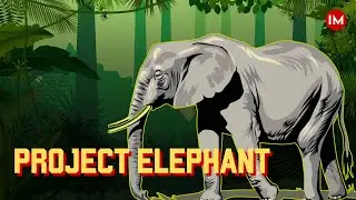 How India is Winning the Battle for Elephant Conservation