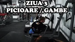 Picioare si Gambe | Ziua 3 | Program incepatori