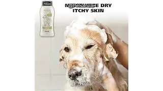 Wahl USA Dry Skin & Itch Relief Pet Shampoo Review: Is It Worth the Hype for Your Dog?