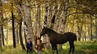 Nikon D80 Camera TV Commercial. Great Ad!