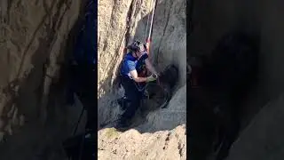 Stranded Dog Gets Rescued From San Francisco Cliff