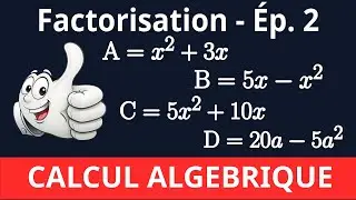 Factorisation Ép. 2 | Calcul algébrique