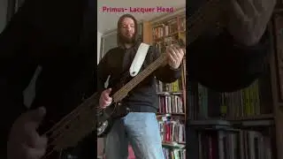 Primus - Lacquer Head (bass cover by Bordiian) #primus #lacquerhead #lesclaypool