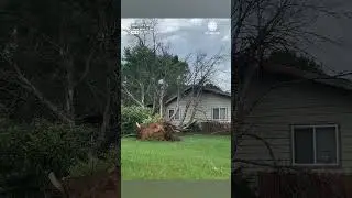 Tornado Damages Homes, Trees in Wisconsin