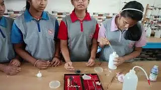 Experiments --preparation of onion peel slide