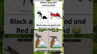 memes of the day #funny #shorts #xavier #memes #trending  #relatable #relatablecontent #viral ......