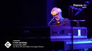 La fresque intime de Vincent Delerm -  L'&oelig;il d&rsquo;Eglantine S&eacute;gol&egrave;ne