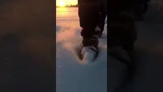 Snow footsteps sound effect- Walking in snow sound - Crunching snow sounds #snow #snowfootsteps