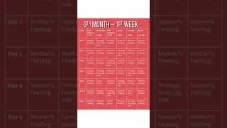 6 Month 1 Week Baby Food Chart