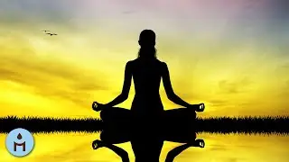 Musicotherapie 🎧 Musique De Fond Curative avec Sons de la Nature pour Harmonie et Bien-&Ecirc;tre