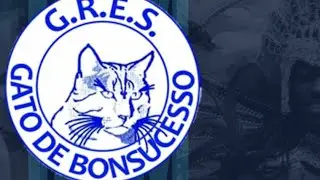 Gato de Bonsucesso 2026