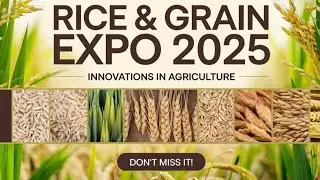 Rice and Grains Expo 2025 || Mookambika Exhibition Lucknow