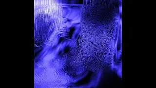 Niko Maxen - Constant Speed