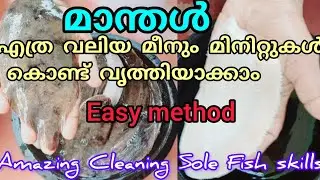 മീൻകാരി ചേച്ചി പറഞ്ഞു തന്ന സൂത്രം | Easy method manthal cleaning | Dover sole fish cleaning skills