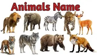  Animals Name With Sound | Wild Animals for Kids | Animal Sounds 🦁🐘