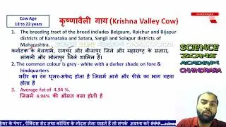 Krishna valley Cow &nbsp;कृष्णा वैली नस्ल | MPCG PAT |  Madhya Pradesh cow breed |  MPPAT TEST SERIES