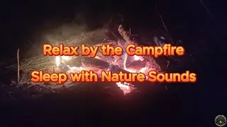 Night Campfire in the Forest 🔥 Crackling Fire, Crickets & Owl Sounds | Deep Relax Ambience