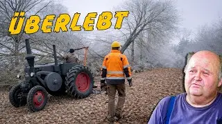 Lanz Bulldog verhindert tödlichen Baumfäll Unfall!