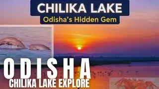 Chilika Lake Odisha: Asia's Largest Brackish Water Lagoon | Irrawaddy Dolphins & Migratory Birds 🦢 