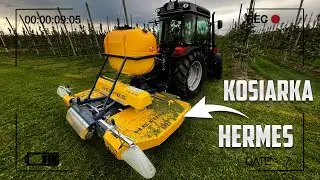 Koszenie trawy w sadzie! Hermes Fisarmonica! Massey Ferguson 3640 GE!