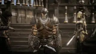 Lost Ark - Warrior Paladin #1