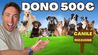 DONO 500&euro; al CANILE di RICCIONE con i MIEI CANI