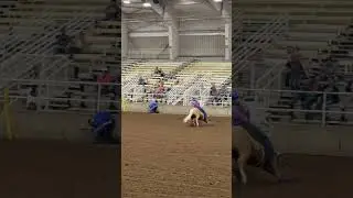 BRB gotta go watch Tricia Aldridge and Adios Pantalones run at The Ruby Buckle East barrel race