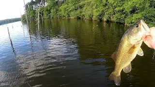 Briery Creek Lake Topwater Bass...Boat Flipping w/ Nathan