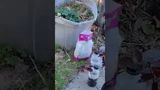 Small Garden YouTube