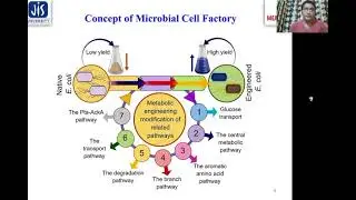 'Bioinformatics Tools for Metabolic Engineering and Synthetic Biology' by Dr. D Ghosh (PI-MEAB Lab)