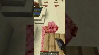 Minecraft, But Killing Mobs Give Random Effects...