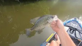 The Crappie weren't Crappy at Kinkaid!