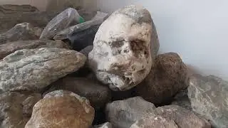 Walkthrough Mud fossils Corridor