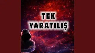 Hayat Bir Gemi