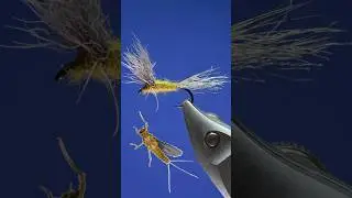 BWO sparkle dun - #flyfishing #dryflies #BWO #serratella #ignita #dun
