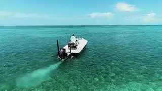 Yellowfin 24 Bay CE
