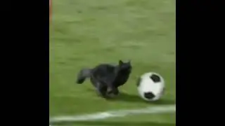 Ankara messi 😂