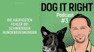 Die h&auml;ufigsten Fehler bei schwierigen Hundebegegnungen mit Gerd Schreiber  | Dog It Right Podcast