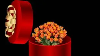 Video Beterschap