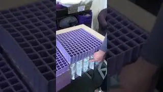 The Differences Between Original Purple vs. Purple 2, 3 and 4