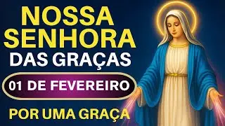 TERÇO NOSSA SENHORA DAS GRAÇAS - 01/02/26 | NOSSA SENHORA DAS GRAÇAS ILUMINA SUA SEMANA ✨