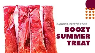 RED WINE STRAWBERRY SANGRIA FREEZIE POP - Boozy Frozen Popsicle Treat